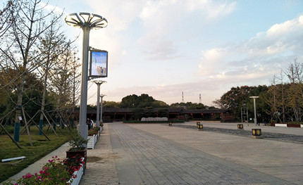 在這綠樹成蔭的公園里，我是一棵特別的“樹”